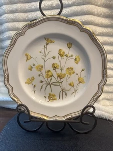 Spode Wild Flower Series #2 Dinner Plate Buttercup England Gold Trim - Picture 1 of 17