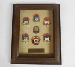 Juego de prendedores enmarcados del Salón de la Fama del Fútbol Profesional NFL 1995, edición limitada, 7 prendedores - Imagen 1 de 11