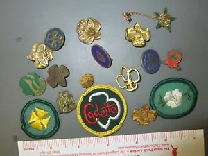 Lotto Patch Ragazza Scout Spille Distintivi Competenza 2247HH - Foto 1 di 1