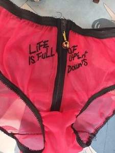 Vintage 50's 60's sheer red nylon & black trim NOVELTY bikini panties - S/M 5- 6 - Picture 1 of 10