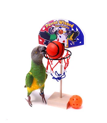 PARROT WIZARD Birdie Basketball - Teach Your Parrot to Play Basketball Trick Training Toy