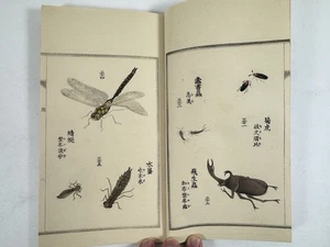 Japanese Woodblock Print Book “Hyakuchu-shiga” Poem and illustration for insect - Picture 1 of 24