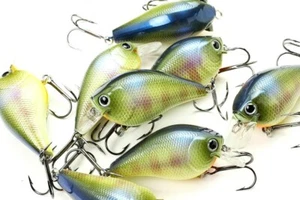 LUCKY CRAFT Fat CB BDS2 - 269 BE Gill (1 Stück) Top Qualität Kurbelköder. - Bild 1 von 4