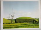 Postcard - Ansel Adams 1950 Tree Barn Hills Near Livermore California