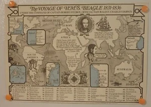 Reise der HMS Beagle 1831-1836 Poster 12 x 16 - Bild 1 von 2