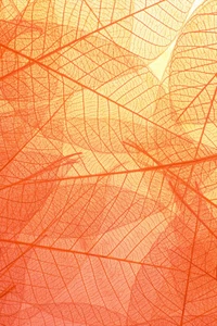 Colorful Transparent Texture of Natural Background Art Wall Decor - POSTER 20x30 - Picture 1 of 4