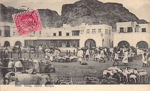 Jemen - ADEN - Kamelmarkt - Publ. unbekannt - Bild 1 von 2