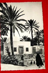 GABES UN COIN DE L'OASIS DE CHENINI TUNISIE - ALAIN N°11 - Picture 1 of 1