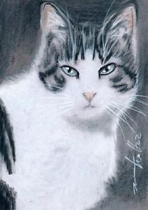 ACEO original pastel drawing tabby cat  chat  by Anna Hoff