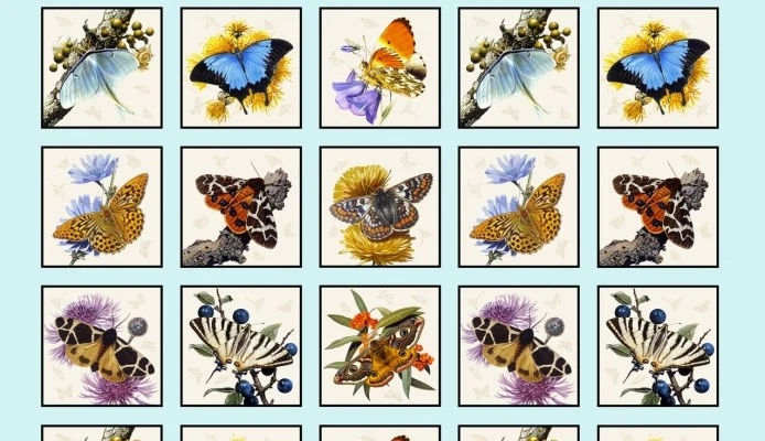 Panel de 24" azul cielo Elizabeth's Studio Butterflies & Moths de Carl Brenders 9800 Foto 1 de 1