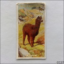 John Player Natural History #2 Alpaca 1924 Cigarette Card (CC27)