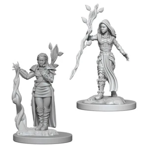 D&D NOLZUR'S MARVELOUS MINIATURES - FEMALE HUMAN DRUID W2 - Picture 1 of 1