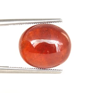 SHOLA Echt 10,72 Ct Natürlicher Rot Orange Spessartin / Mandarin Granat Namibia - Bild 1 von 5