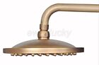 Antique Brass 8” inch Round Bathroom Rainfall Rain Shower Head wsh023