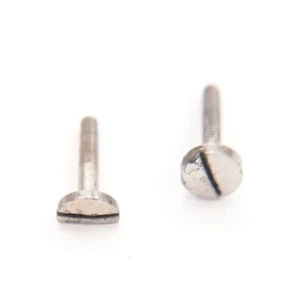 Tornillos para caja de reloj de bolsillo Elgin tamaño 18 para grado 317 - CH369 - Imagen 1 de 2