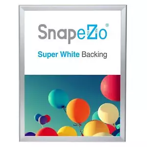 Telaio poster bifacciale SnapeZo® argento 18x24 - Profilo 1,25 - Foto 1 di 5