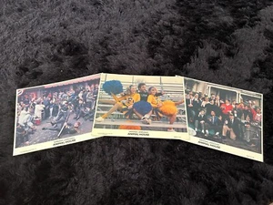 Tarjetas de vestíbulo de película National Lampoon's 1978 ANIMAL HOUSE (3) 8"x10" - Belushi y equipo - Imagen 1 de 2