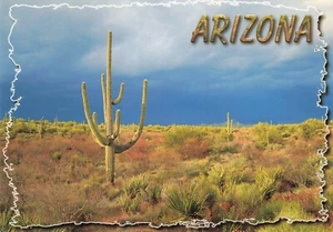 Postal continental de Verano Tormenta Barre el Desierto Arizona - Imagen 1 de 2