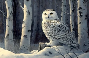 Owl Snowy Forest Scenery Canvas Art Home Decor Wall Art Prints Poster Painting - Picture 1 of 8