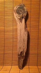 Bellissimo Terrario 21" DRIFTWOOD Pezzi Acquascape Decorazione Floreale Artigianato Arte - Foto 1 di 12