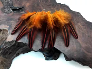 10 Stück - orange gefärbt Dschungel Hahn lose Gefieder Feder Fliegenbindung selten exotisch - Bild 1 von 9
