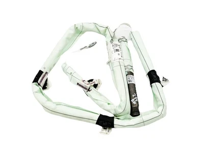 ✅ OEM BMW F22 F87 230 M2 cupé techo pasajero techo airbag cortina Foto 1 de 4