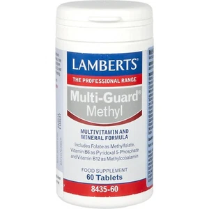 Lamberts Multiguard Methyl - SALE - SHORT DATE - Best Before End of March 2024