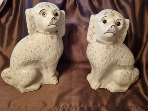 Antiguo par de Spaniels de espalda plana de 13,5 pulgadas de alto - Imagen 1 de 9