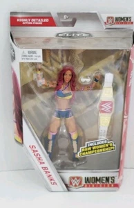 2017 Mattel WWE Elite Women's Division Sasha Banks NXT (A6) - Picture 1 of 4
