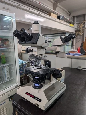 Microscopio de Investigación Olympus BH-2OLYM con Oculares y Lentes Objetivo USADO Foto 1 de 4