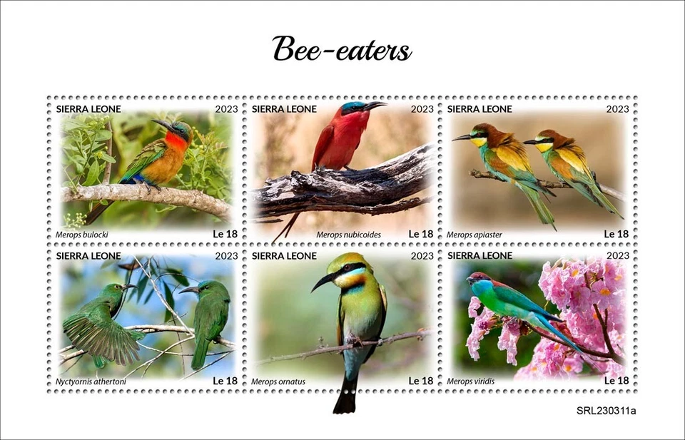 Estampillas Bee-Eaters Birds MNH 2023 Sierra Leona M/S Foto 1 de 1