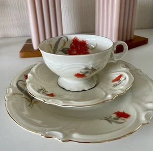 Schwarzenhammer Porzellan, Sammeltasse , Kaffeegedeck Blüten - Bild 1 von 10