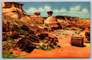 Linen Postcard Petrified Wood and Erosions Petrified Forest Arizona - Picture 1 of 2