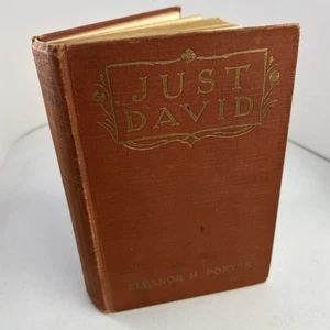 Vintage 1916 Just David By Eleanor H. Porter 1st (Similiar to Anne Green Gables) - Picture 1 of 5