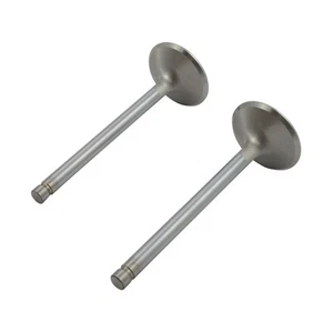 Manley, Valve IN Stainless Steel Severe Duty, Scarico. Std. - Picture 1 of 1