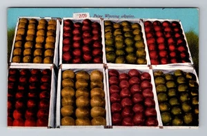 Postal de recuerdo vintage de manzanas, frutas y premios ganadores - Imagen 1 de 2