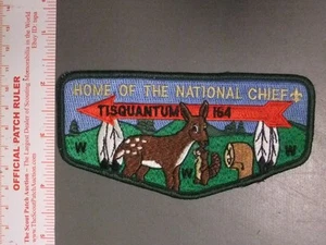 Boy Scout OA 164 Tisquantum flap 7148OO - Picture 1 of 1