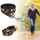 Fashion Dog Leash avec collier assorti pour Halloween, usage quotidien - réglable