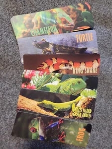 Posten von 16 CREANOSO Reptil Amphibien pädagogische Lesezeichen - Bild 1 von 3