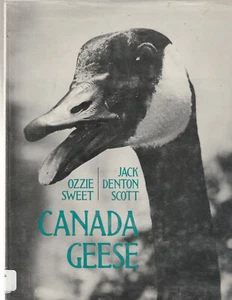 CANADA GEESE (1976) SCOTT SWEET & JACK SCOTT, PHOTOBOOK - Picture 1 of 1