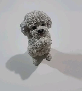 Estatuilla de perro de resina Bichon Frise 8,5" x 4,5" - Imagen 1 de 14