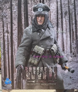 Did D80159 1/6 Wh Infantry Oberleutnant Winter Action Figure In Stock - Picture 1 of 3