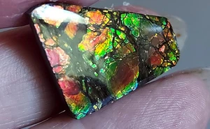 Ammolite  Ammonite Coated Stone 28.5x21.5x4mm 17845 - Bild 1 von 5
