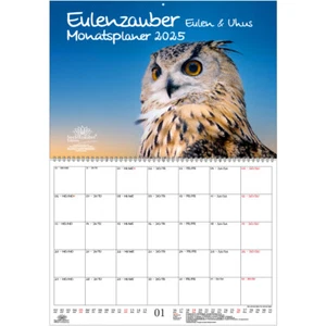 Eulenzauber Eulen und Uhus Planer DIN A2 Kalender für 2025 - Seelenzauber - Bild 1 von 1