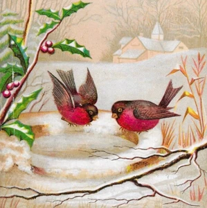 Tarjeta comercial temprana Washington D.C comercial E.J gris distribuidor de arte Robin Birds 145 - Imagen 1 de 3