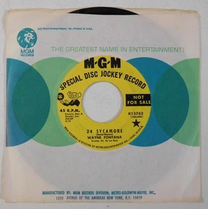 WAYNE FONTANA 24 Sycamore, From A Boy To A Man MGM PROMO 45 - Picture 1 of 2