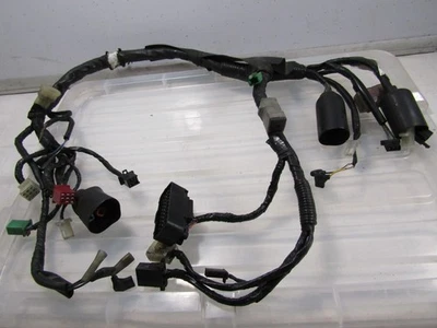 Arnés de cableado principal telar Honda 05-07 VT600 CD VLX 600 Shadow Deluxe OEM Foto 1 de 4