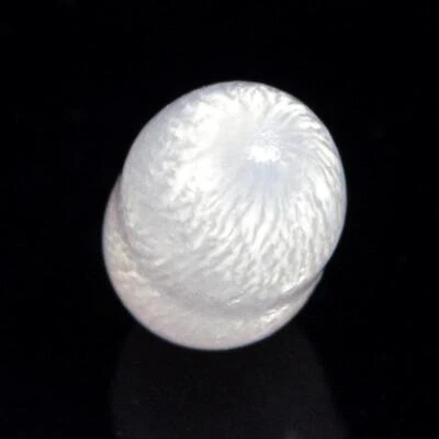 1.00 cts Genuine Natural Wild Tridacna Clam Pearl 6.40 mm Extremely Rare 0.20 g - Image 1 of 4