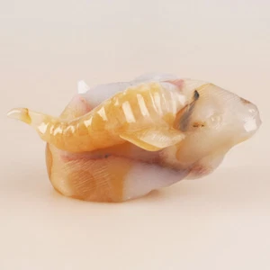 5.8" Natural Geode Agate Quartz Crystal Hand Carved Sheep Head Animal 743g - Imagen 1 de 8