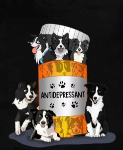  Border Collie Hund Kühlschrankmagnet 3 1/2 X 4 1/2" - Bild 1 von 1